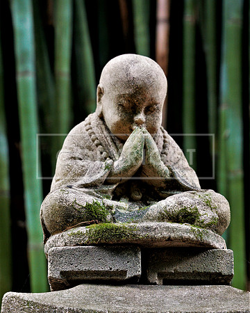 ArtShow_DSC2796