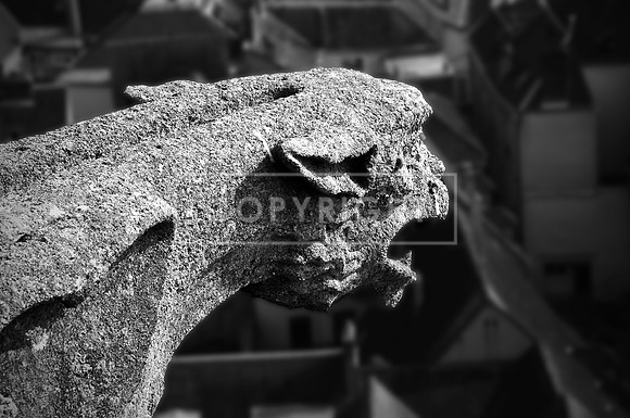 Gargoyle_Chartres