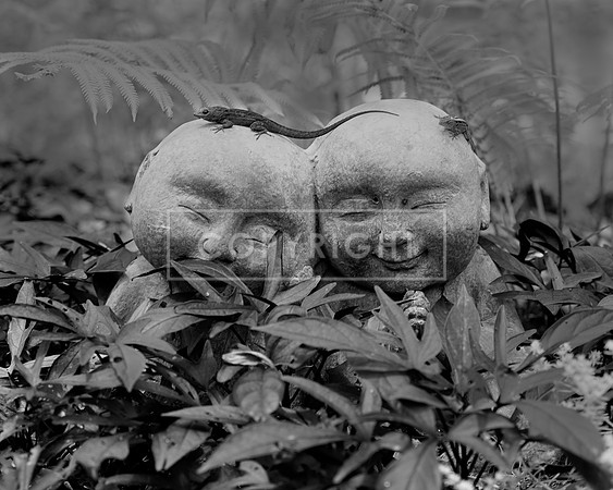ArtShow_DSC2038_burn